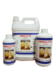 IMMOLYTE